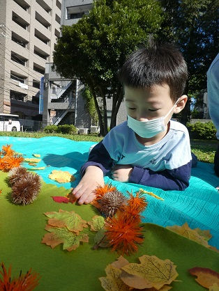 🌰　栗拾いをしよう　🌰