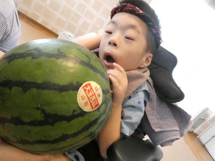 🍉スイカにふれよう🍉